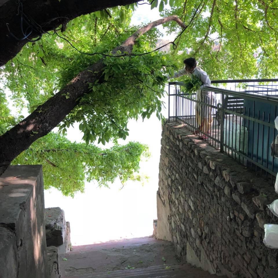 ガネーシャ ギリ先生インド占星術鑑定