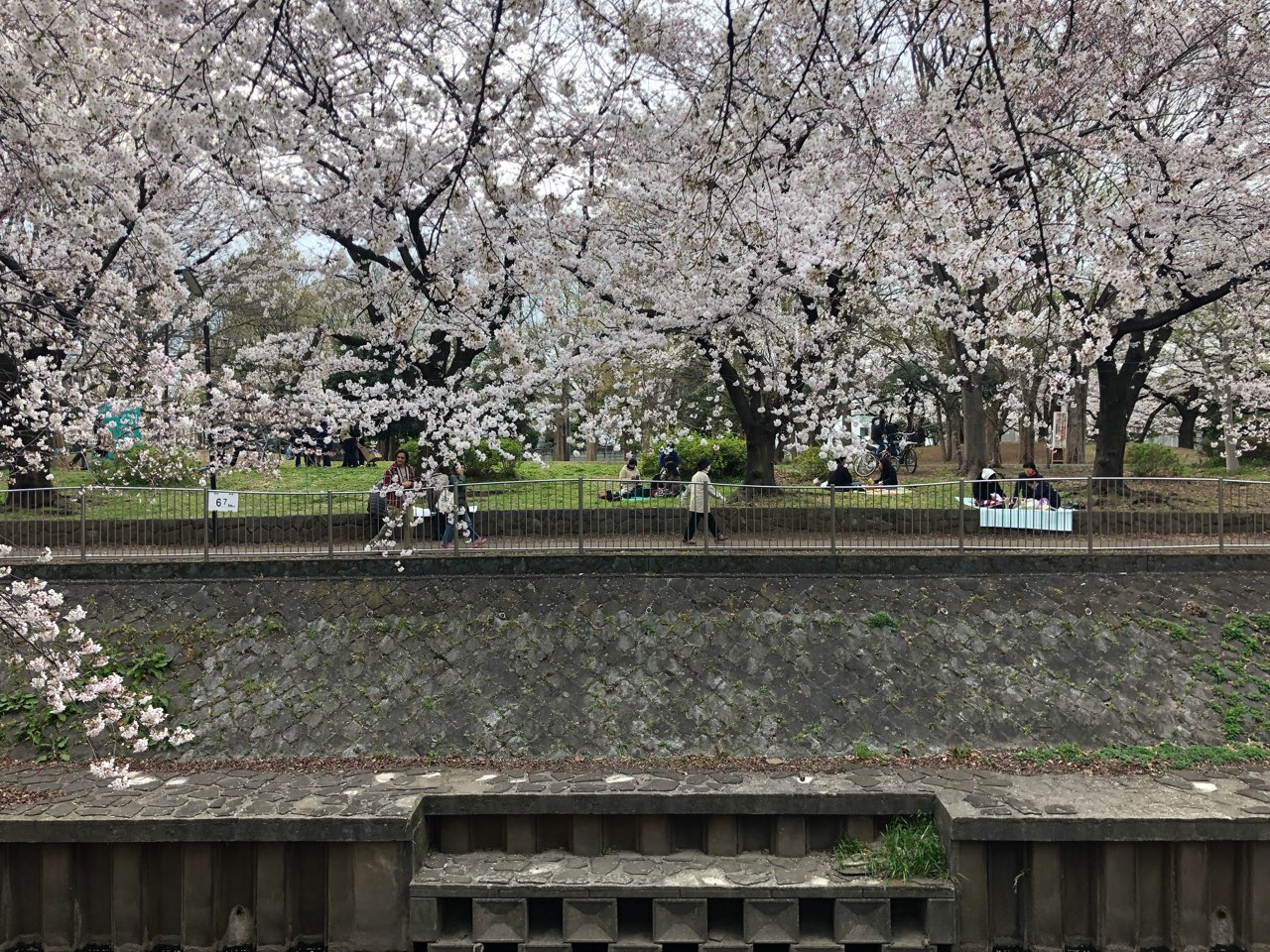吉祥寺クラスと便秘について