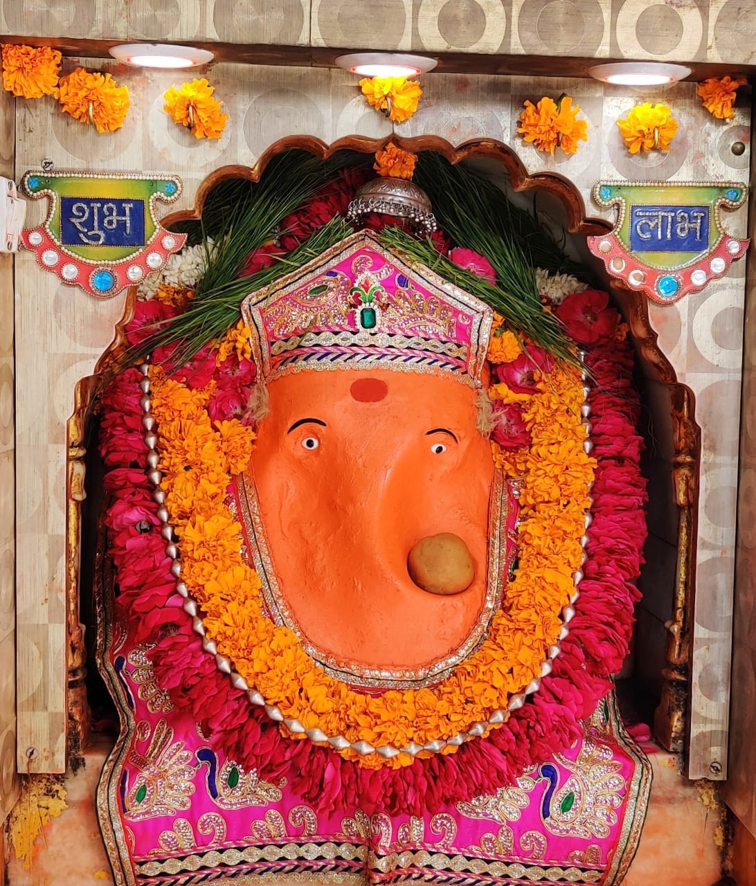 大人だって日々成長している