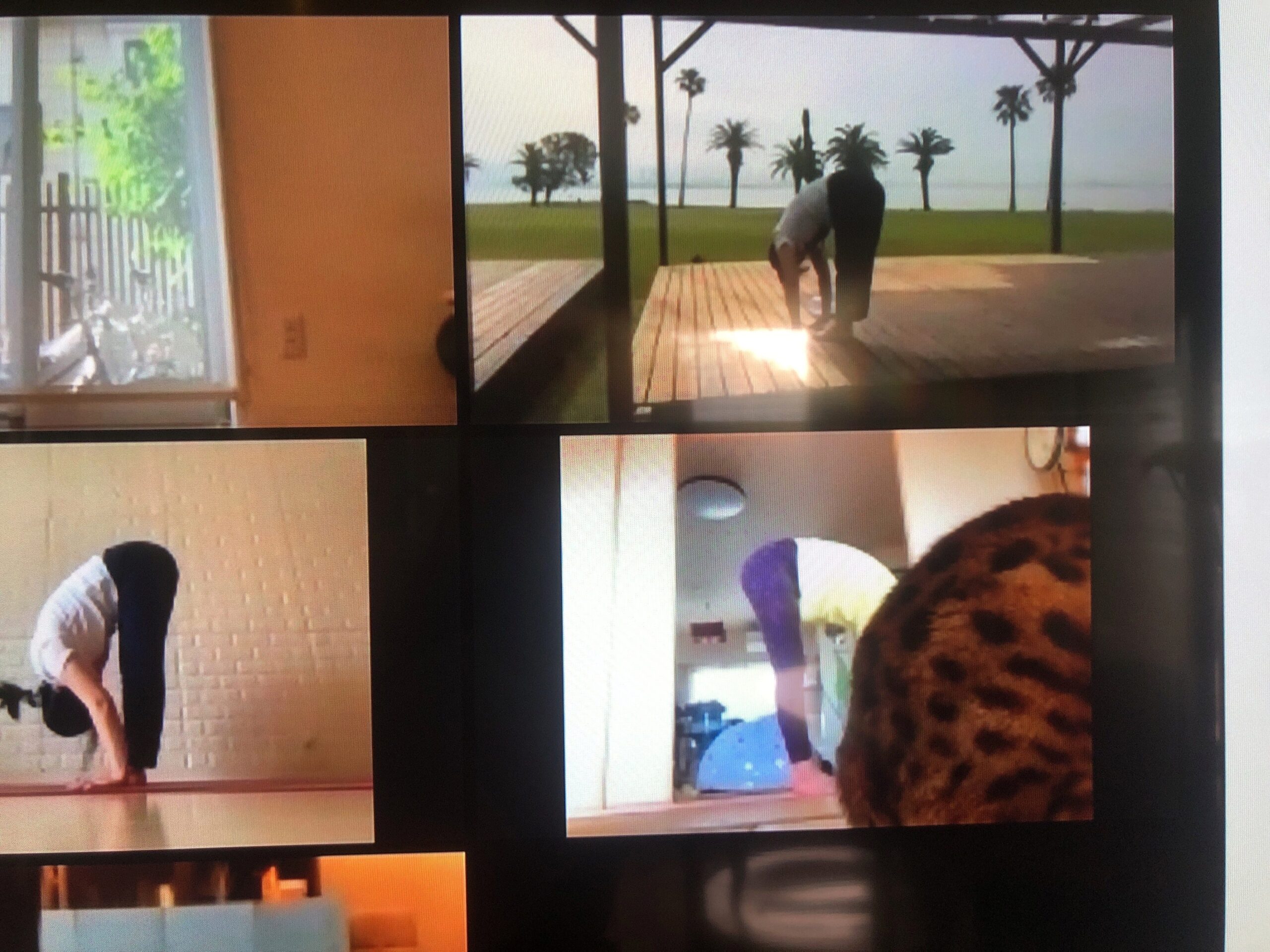 今朝のzoomとスタジオヨガクラス