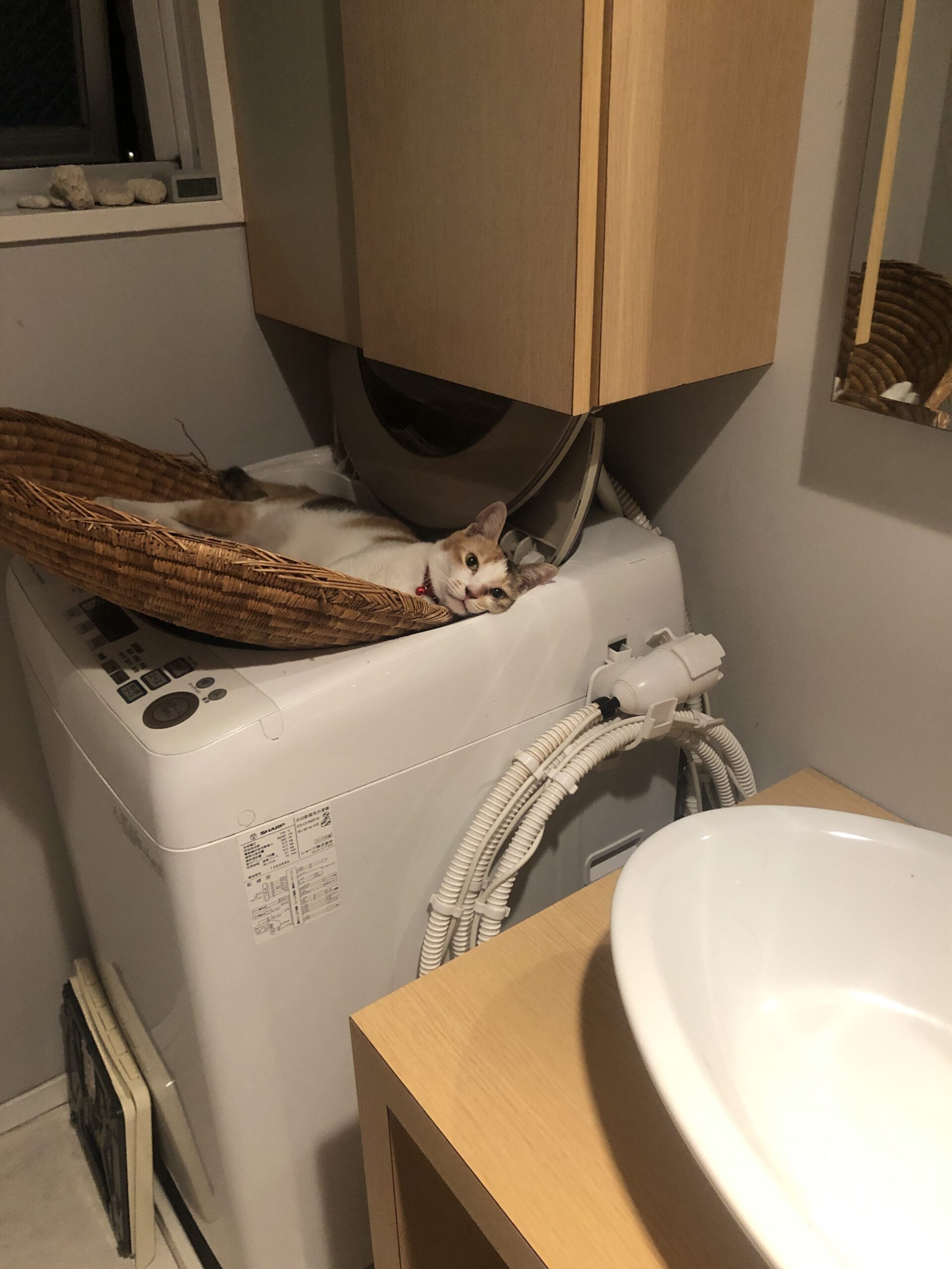 これでいいのだ