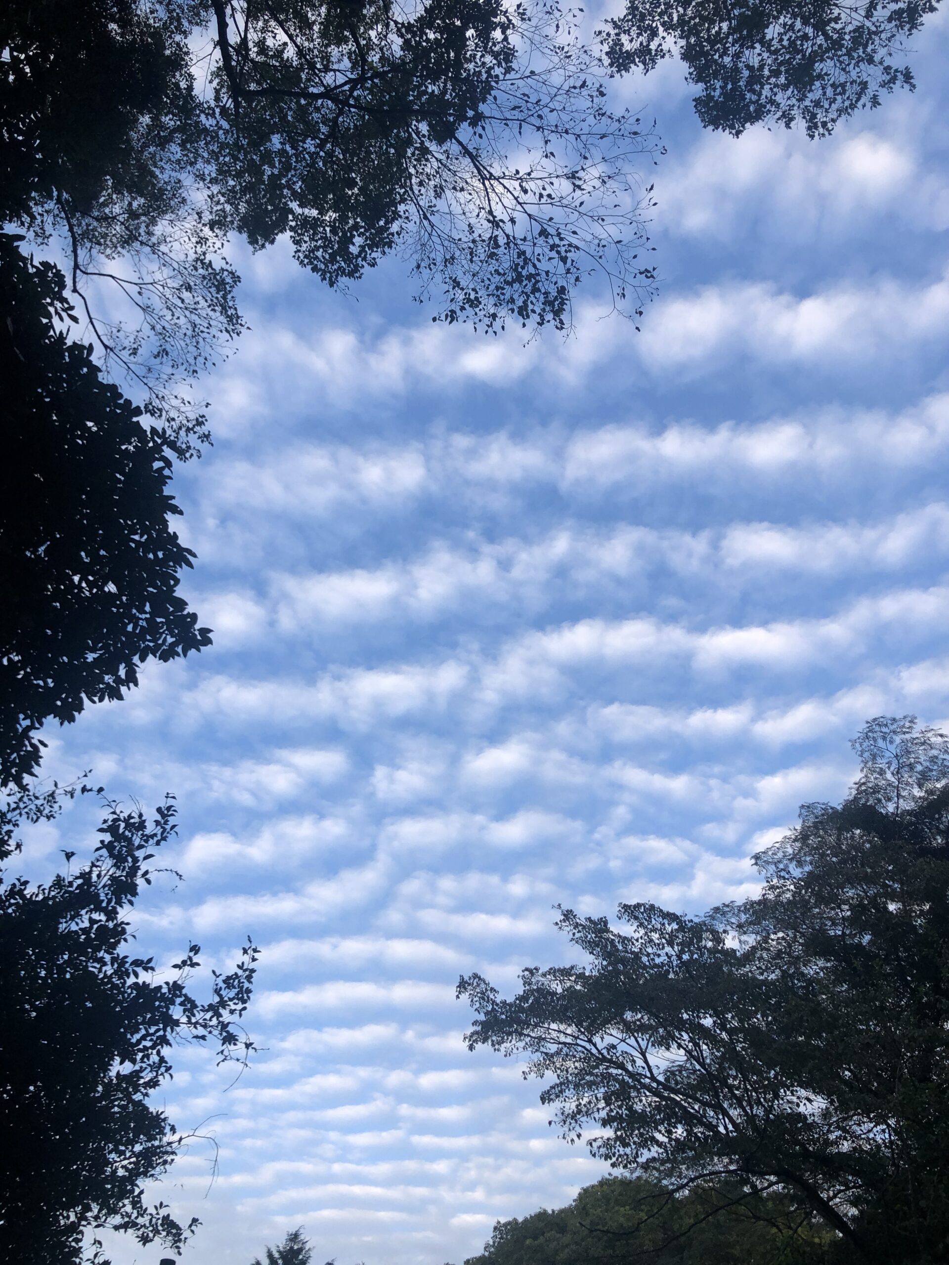 11月より水曜日夜のクラスは桜坂教室で行います