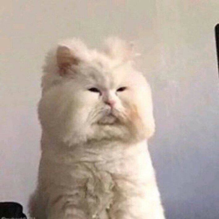 SBGオンライン講座