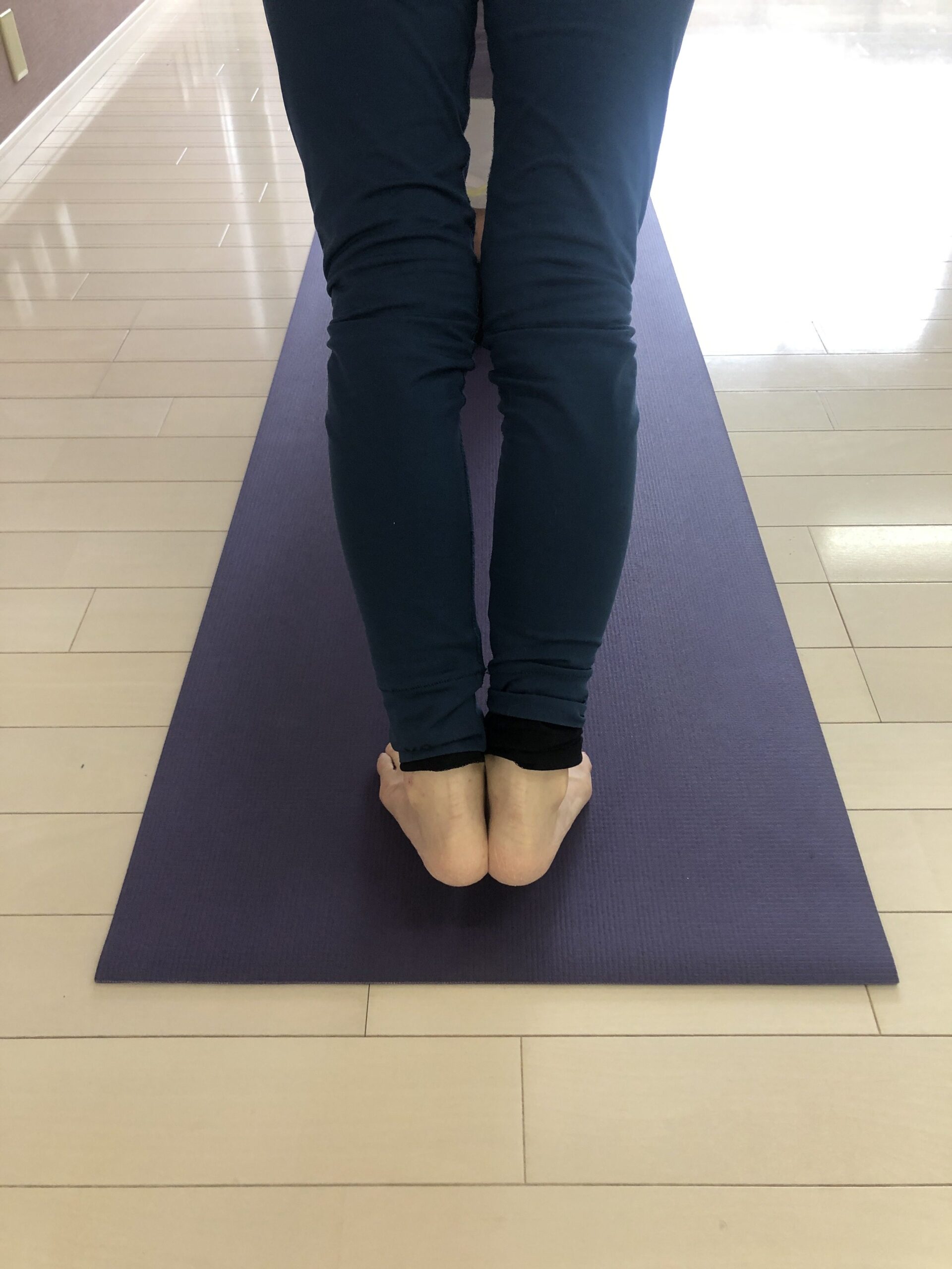 スーリヤナマスカーラ研究会