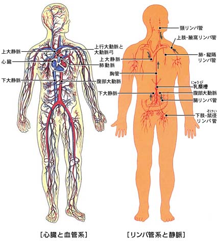 クリヤ、アーサナ、ナディショダンプラナヤマ