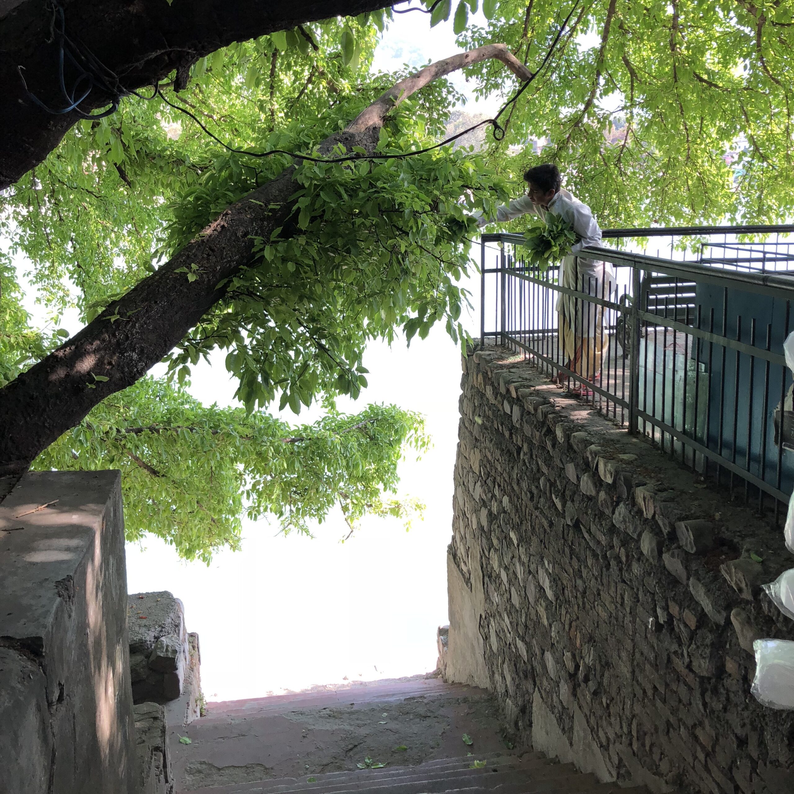 太陽礼拝と私の人生