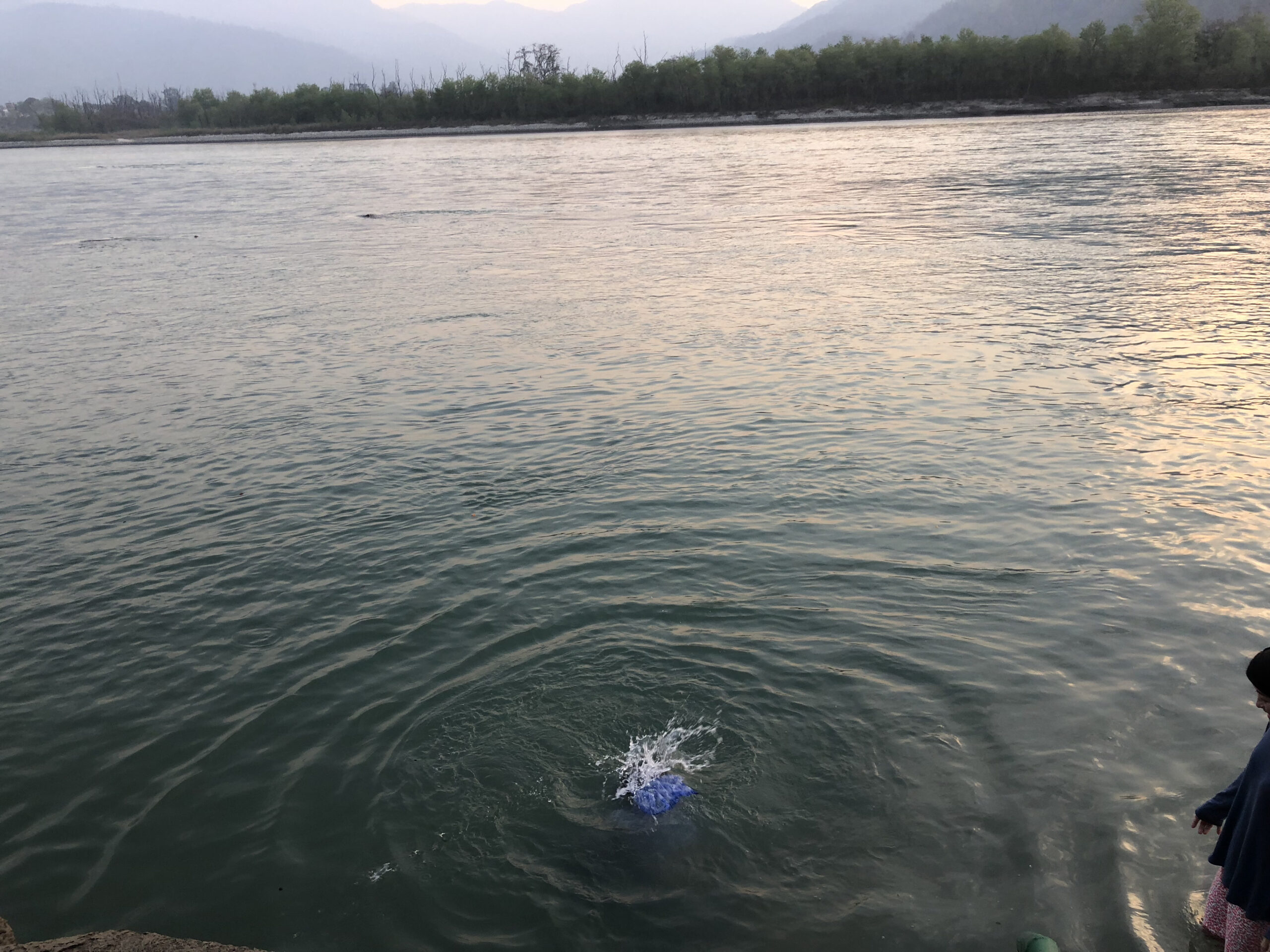 エイリアンの侵入