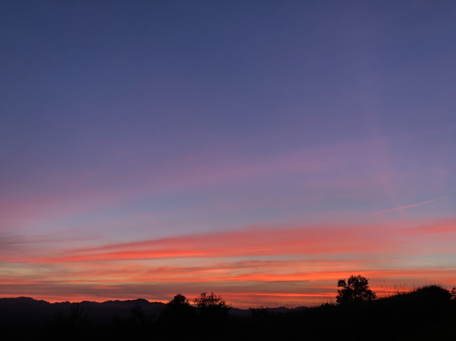 すべては、太陽エネルギー