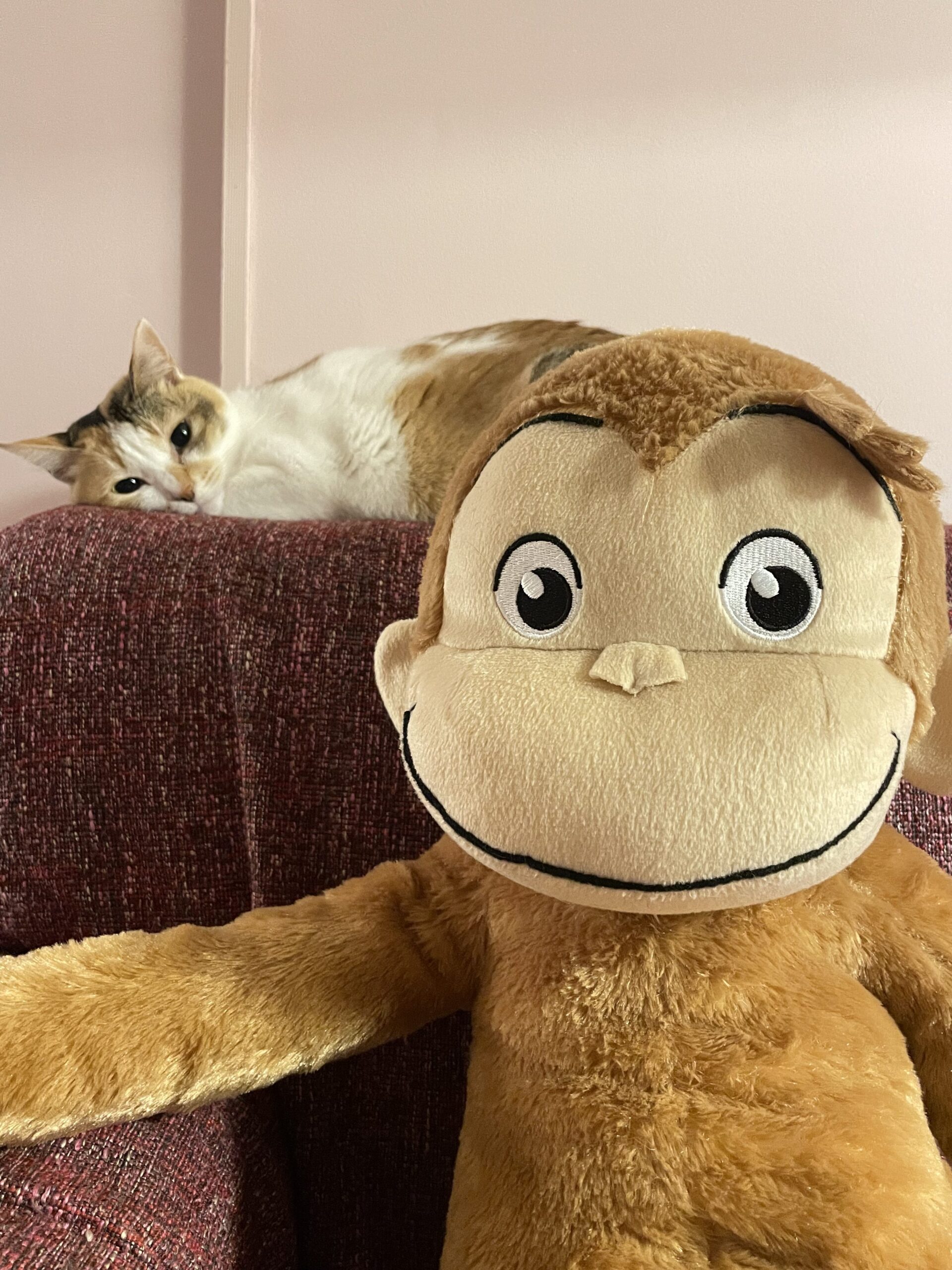 皮膚のこと、バリアはいらない