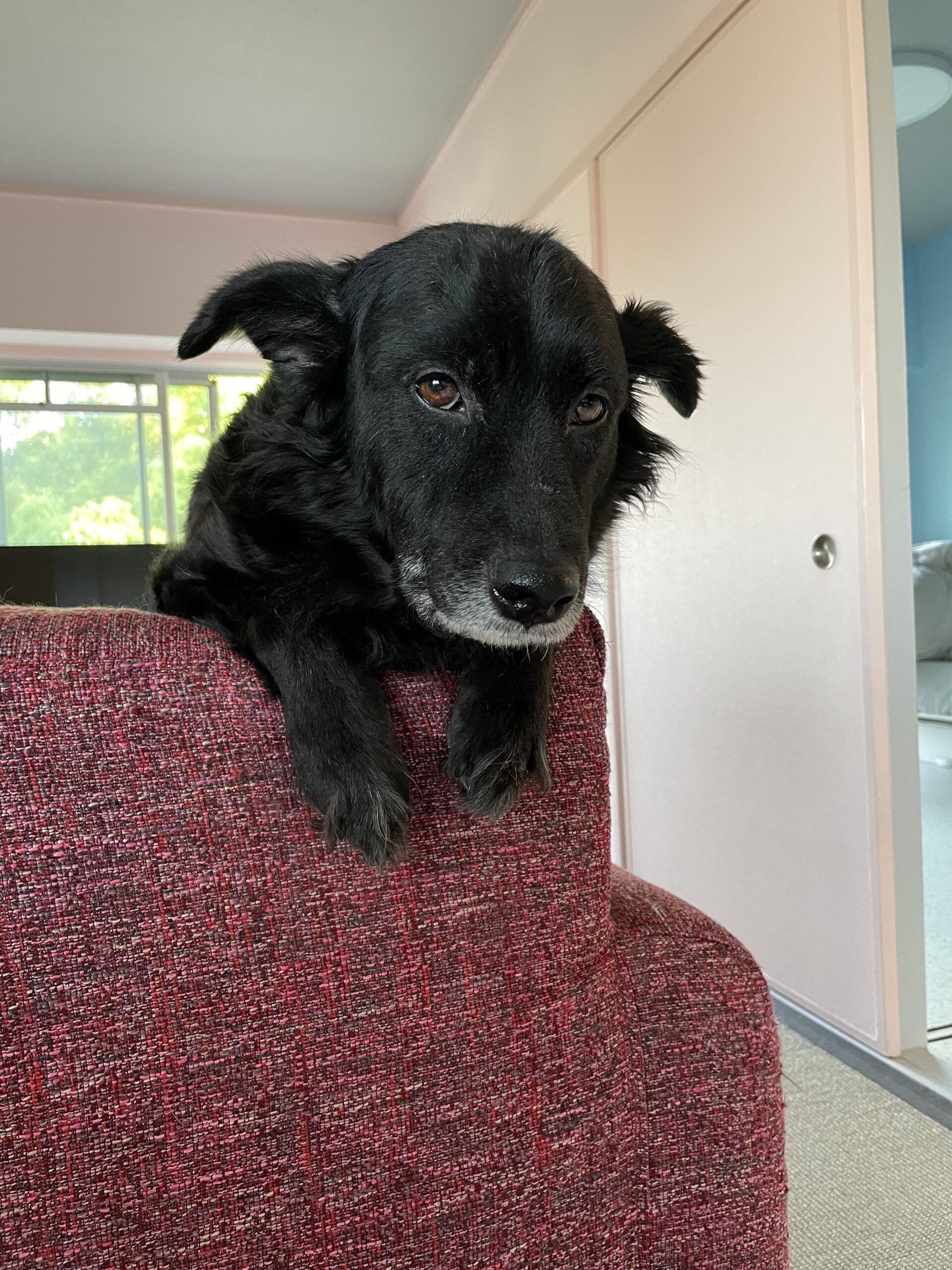 12年目を迎えて