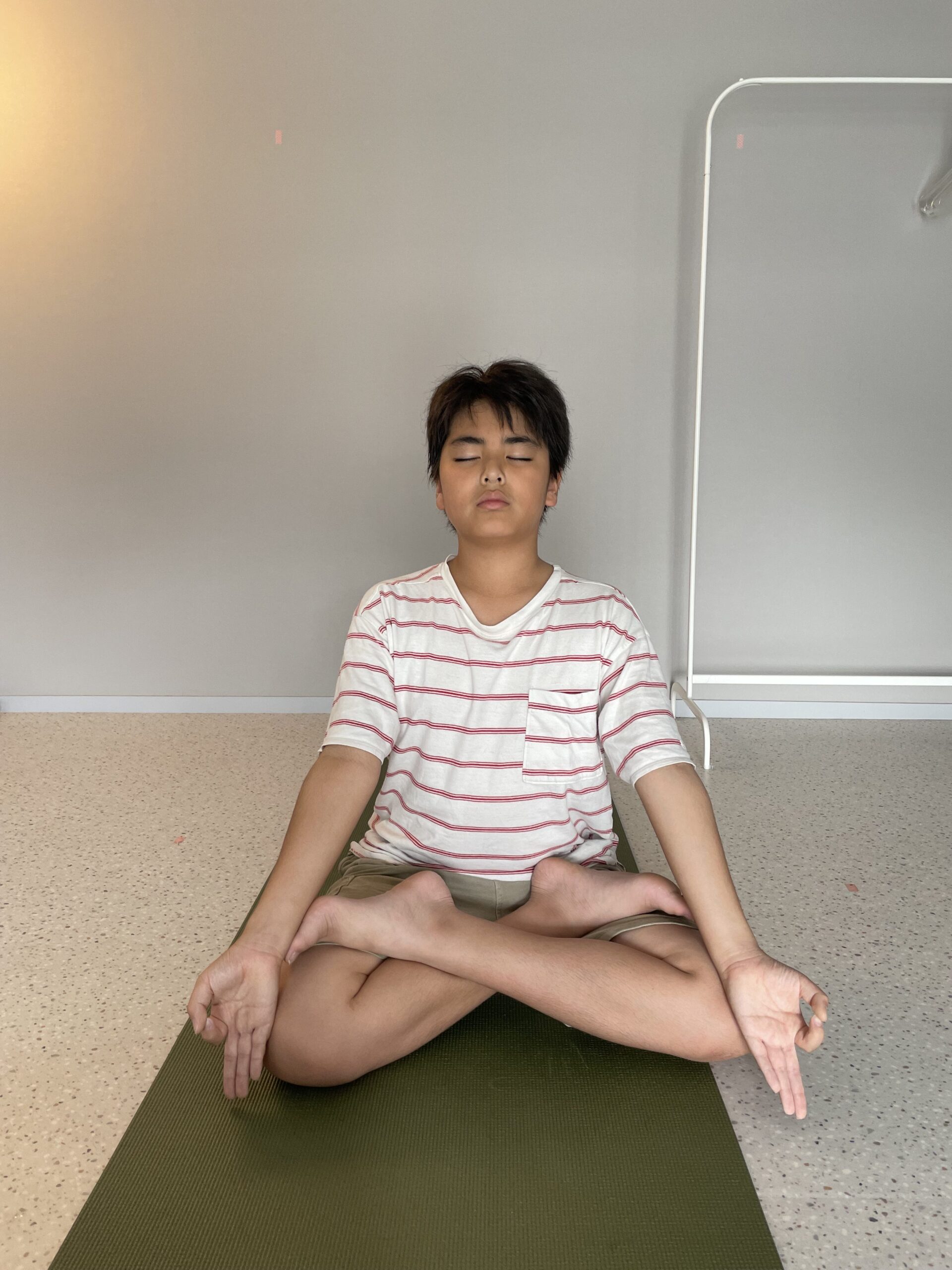 ハヌマーンはなぜ飛べる？