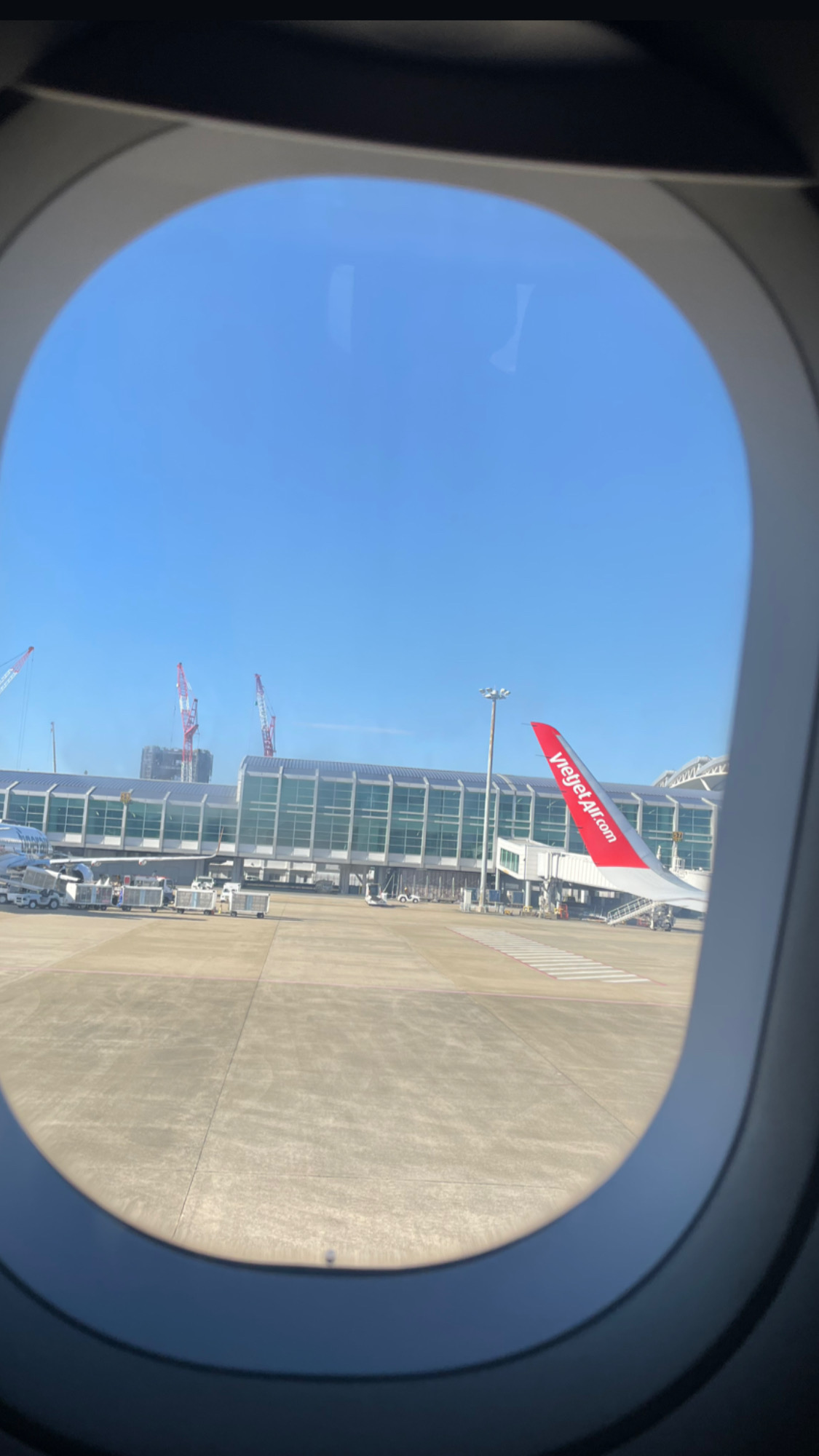 2023年ジャイプルかわいい編