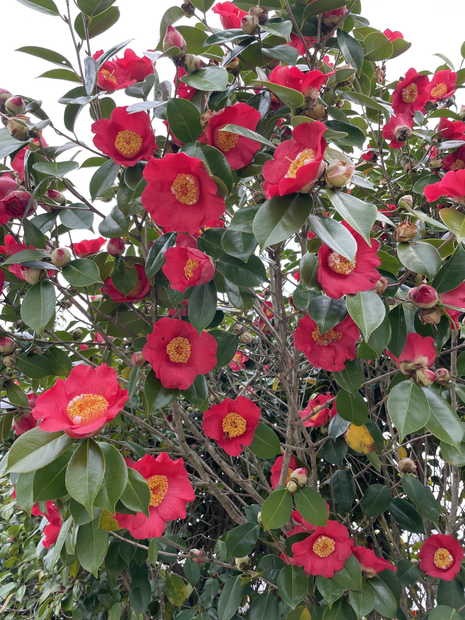 大分に引っ越しました！