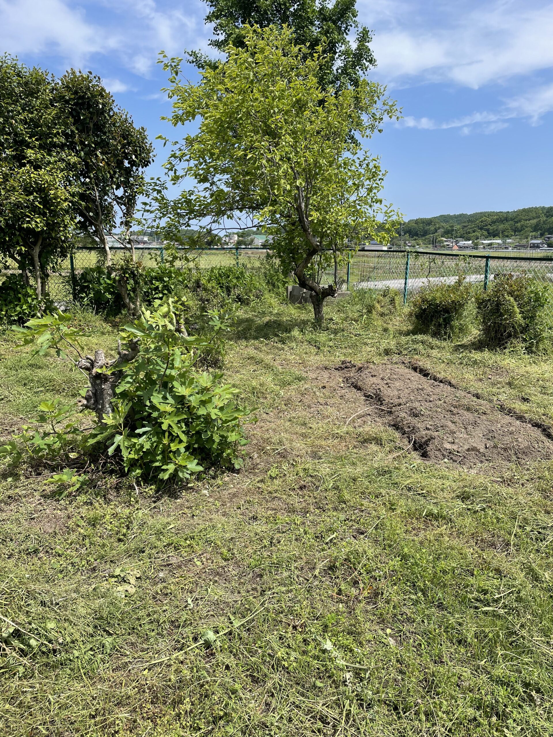 イライラしたりソワソワしたり