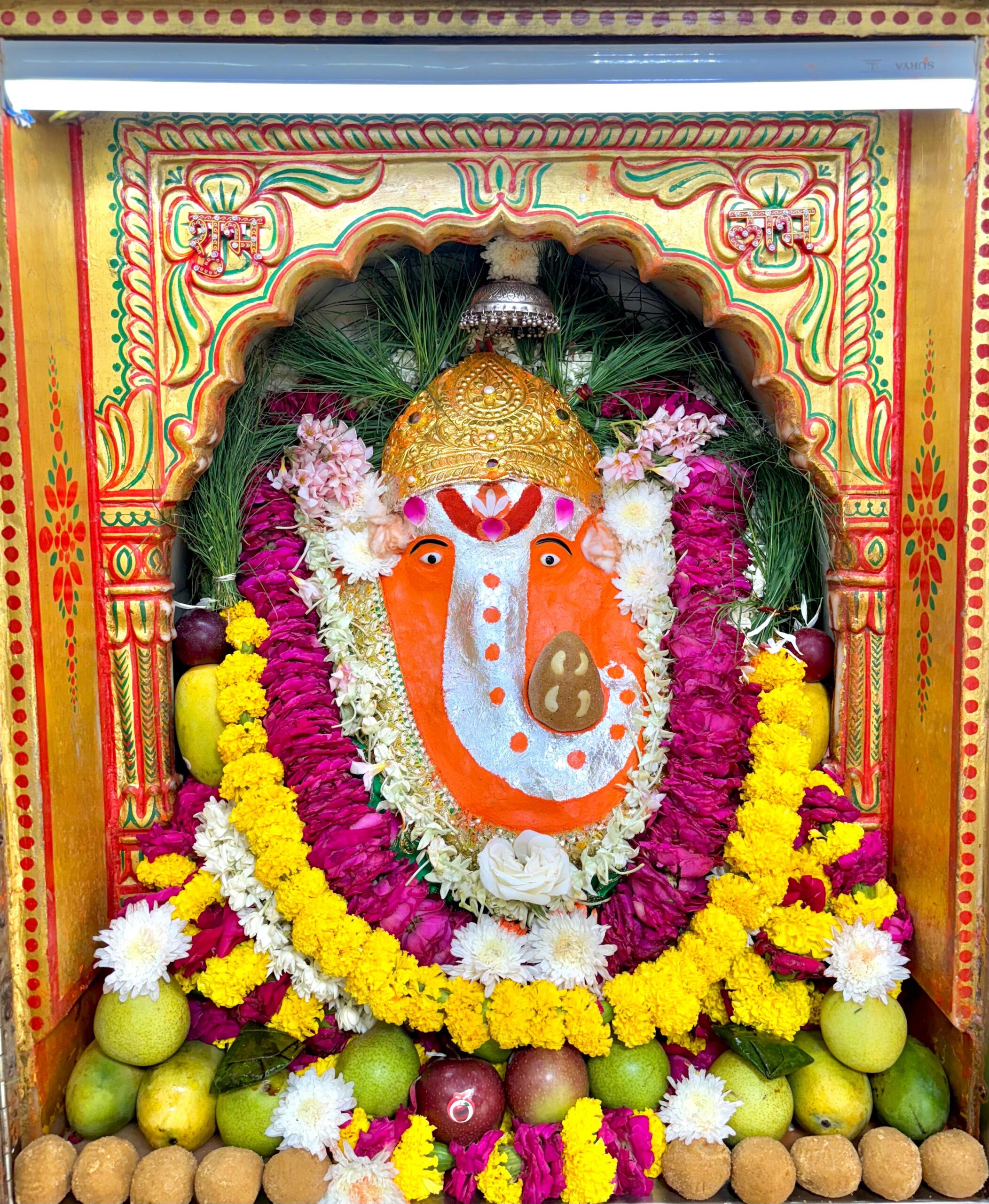 起きて最初に見たもの